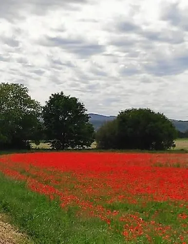 Maison Cosy Et Conviviale, Le B7 Besset